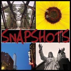 Snapshots