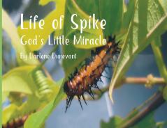 Life of Spike