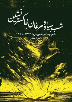Dark Night and Phoenixes of the Ashes