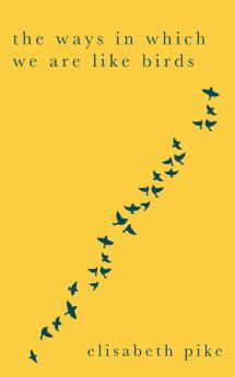 The Ways in Which We Are Like Birds