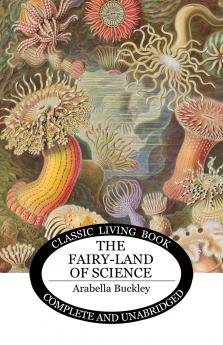 The Fairy-Land of Science