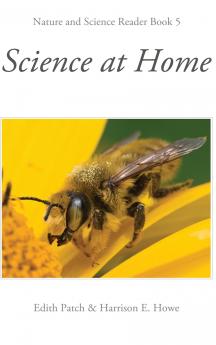 Science at Home