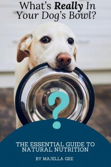 What's Really in Your Dog's Bowl?