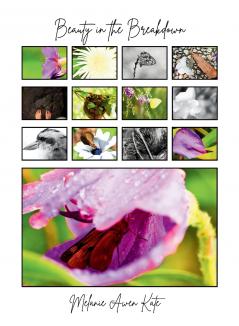 Beauty in the Breakdown