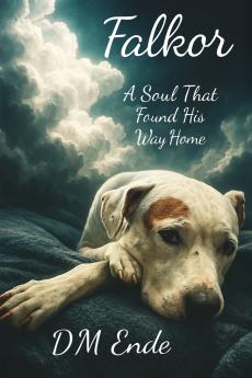 Falkor A Soul That Found His Way Home