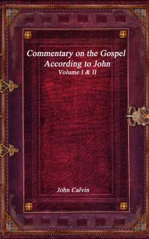 Commentary on the Gospel According to John
