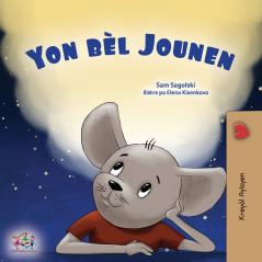 A Wonderful Day (Haitian Creole Book for Children)