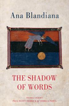Shadow of Words