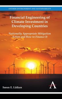 Financial Engineering of Climate Investment in Developing Countries