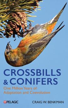 Crossbills and Conifers