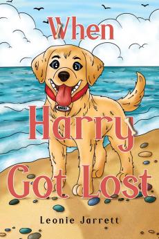 When Harry Got Lost
