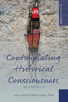 Contemplating Historical Consciousness