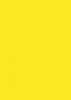 OK Bright Studio Planner