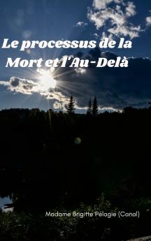 LE PROCESSUS DE LA MORT ET L'AU-DEL�� (couverture rigide)