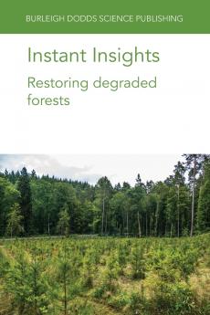 Instant Insights