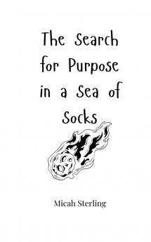 The Search for Purpose in a Sea of Socks