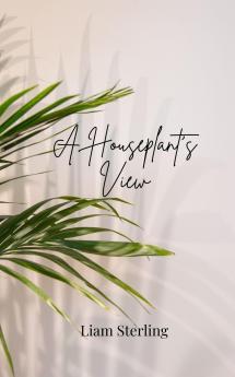A Houseplant's View