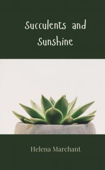 Succulents and Sunshine