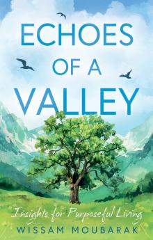 Echoes of a Valley
