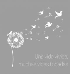 Celebración de la vida libro funerario libro de condolencias para firmar (tapa dura).