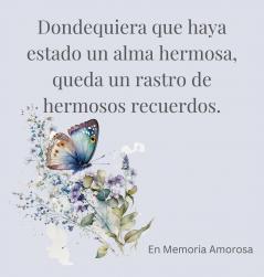 Celebración de la vida libro funerario libro de condolencias para firmar (tapa dura).