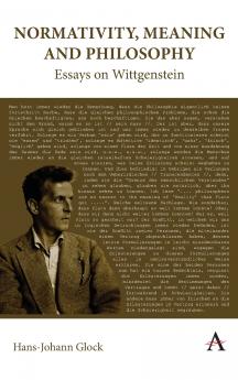 Normativity Meaning and Philosophy