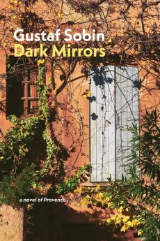 Dark Mirrors