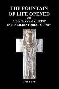 The Fountain of Life Opened (Paperback)