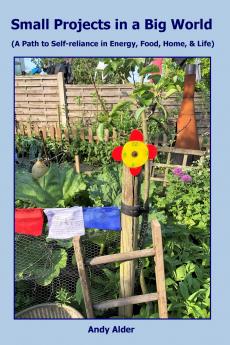 Small Projects in a Big World