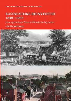 Basingstoke Reinvented