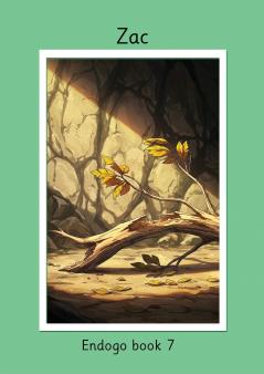 Zac Endogo book 7