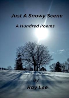 Just a Snowy Scene One Hundred Poems