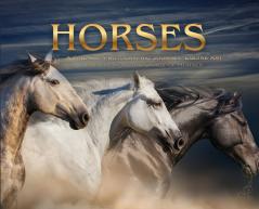Horses