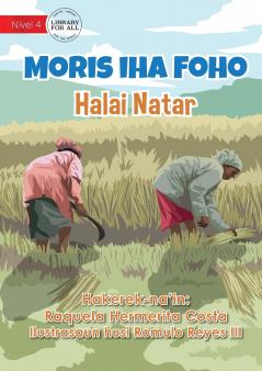 Living In The Village - Rice Cultivation - Moris iha Foho - Halai Natar