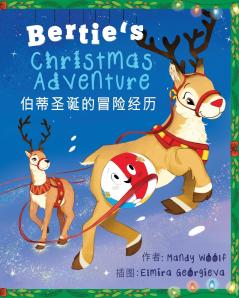 Bó dì shèngdàn de màoxiǎn jīnglì