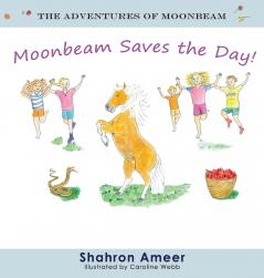 Moonbeam Saves the Day