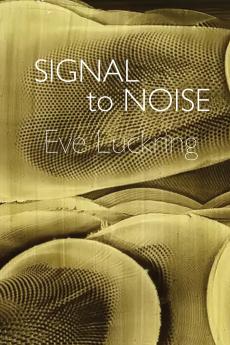 Signal to Noise