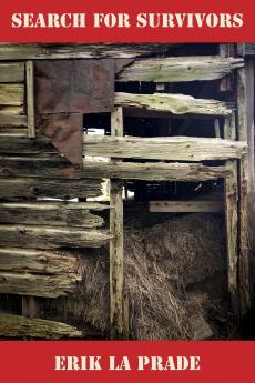 Search for Survivors