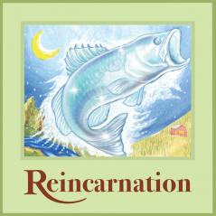 Reincarnation