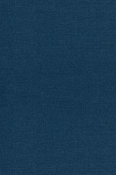 The Principles of Quantum Mechanics