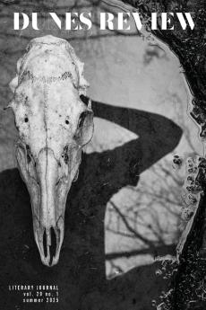 Dunes Review 29.1