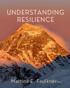 Understanding Resilience