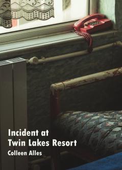 Incident at Twin Lakes Resort