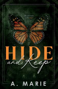 Hide and Keep Discreet Cover