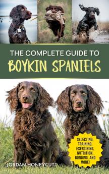 The Complete Guide to Boykin Spaniels