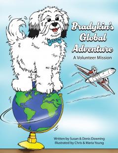 Bradykin's Global Adventure