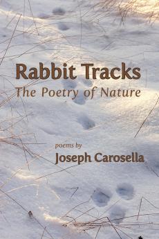 Rabbit Tracks