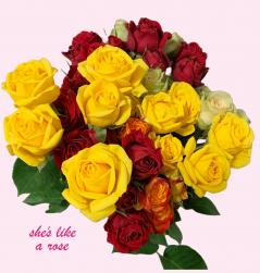She's Like A Rose