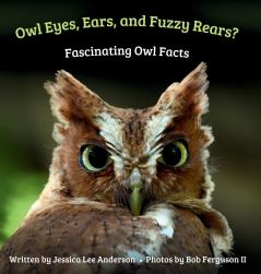 Owl Eyes Ears and Fluffy Rears? Fascinating Owl Facts