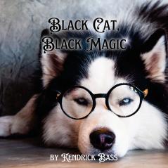 Black Cat Black Magic